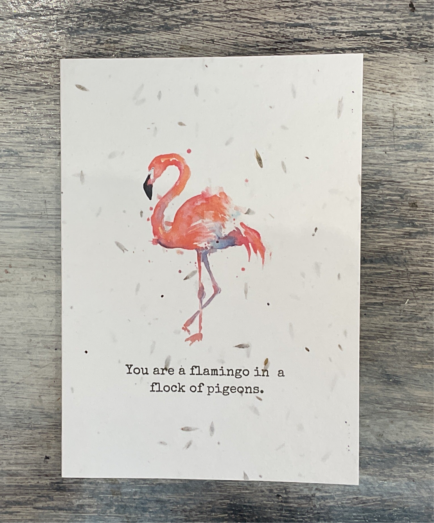 Love Ireland Seed Cards