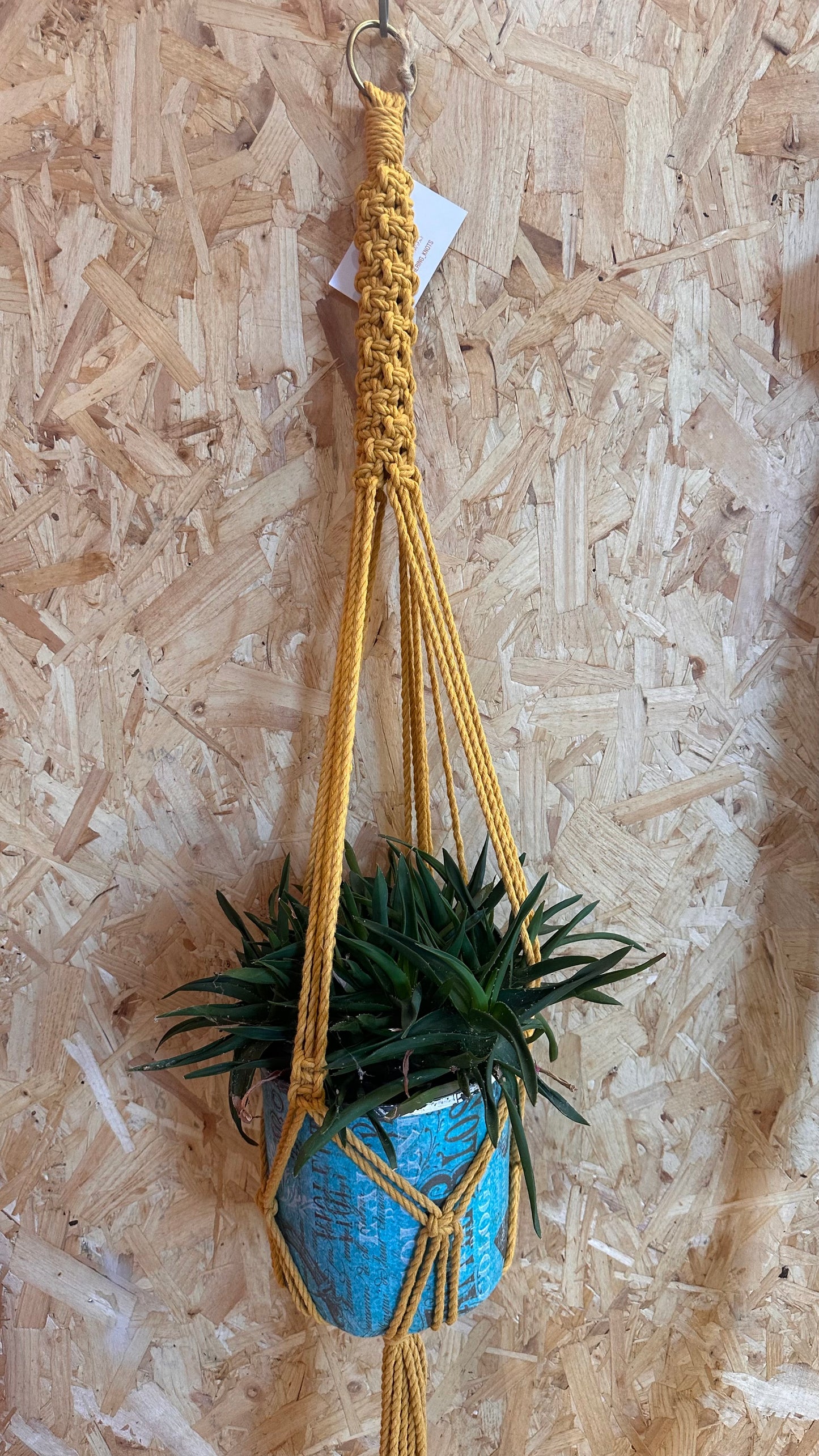 Gathering Knots- Recycled Macrame Plant Holder