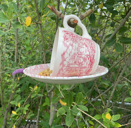 Cup & saucer hanging bird feeder
