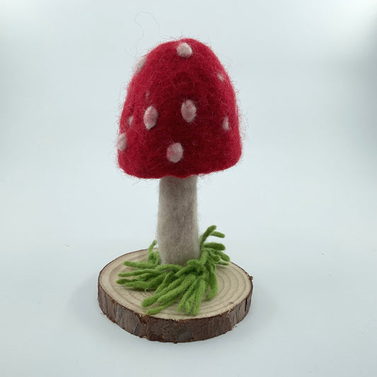 Three Sisters Mushroom