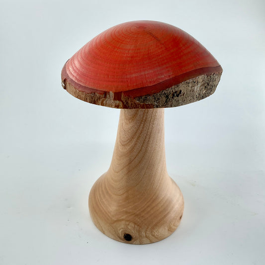 Large mushroom