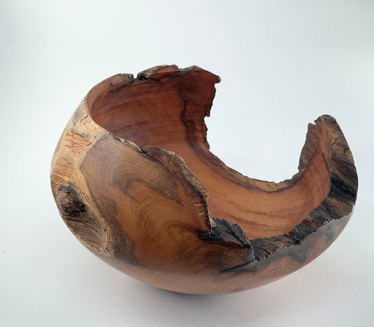 Yew tree bowl