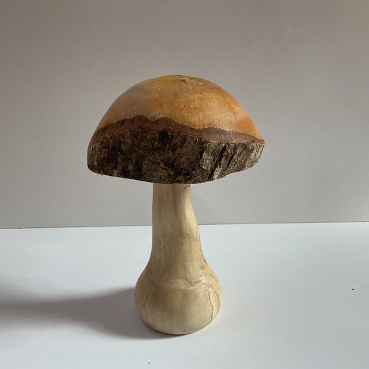 Large Mushroom
