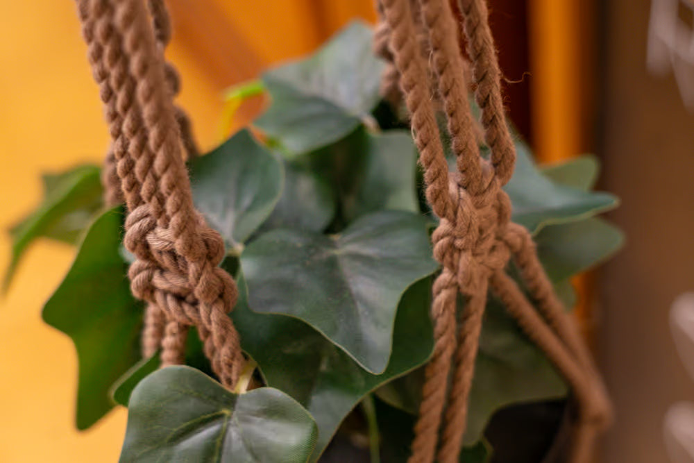 Gathering Knots