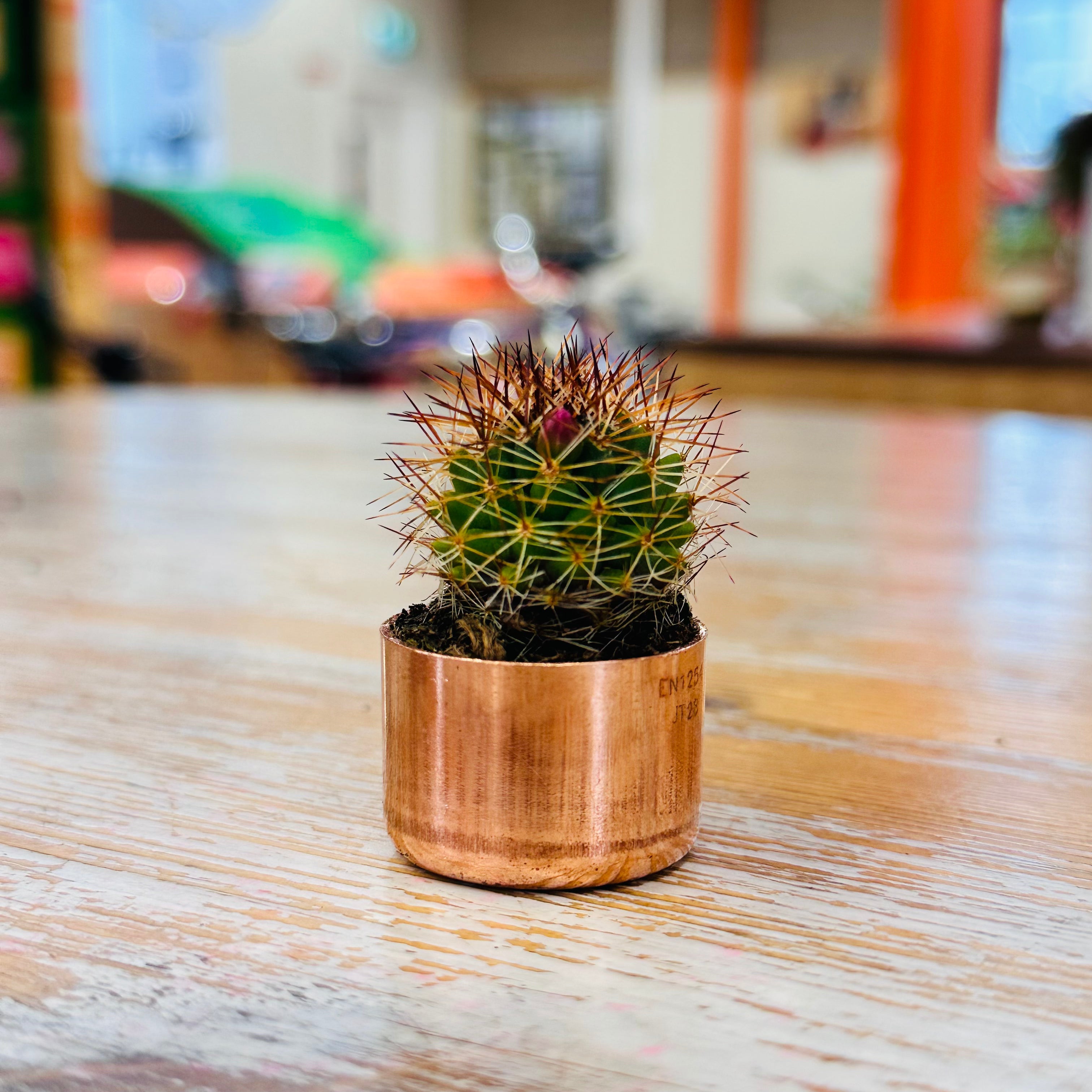 Planters & Pots
