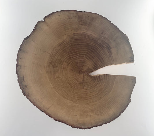Elm Wood Heavy Plate