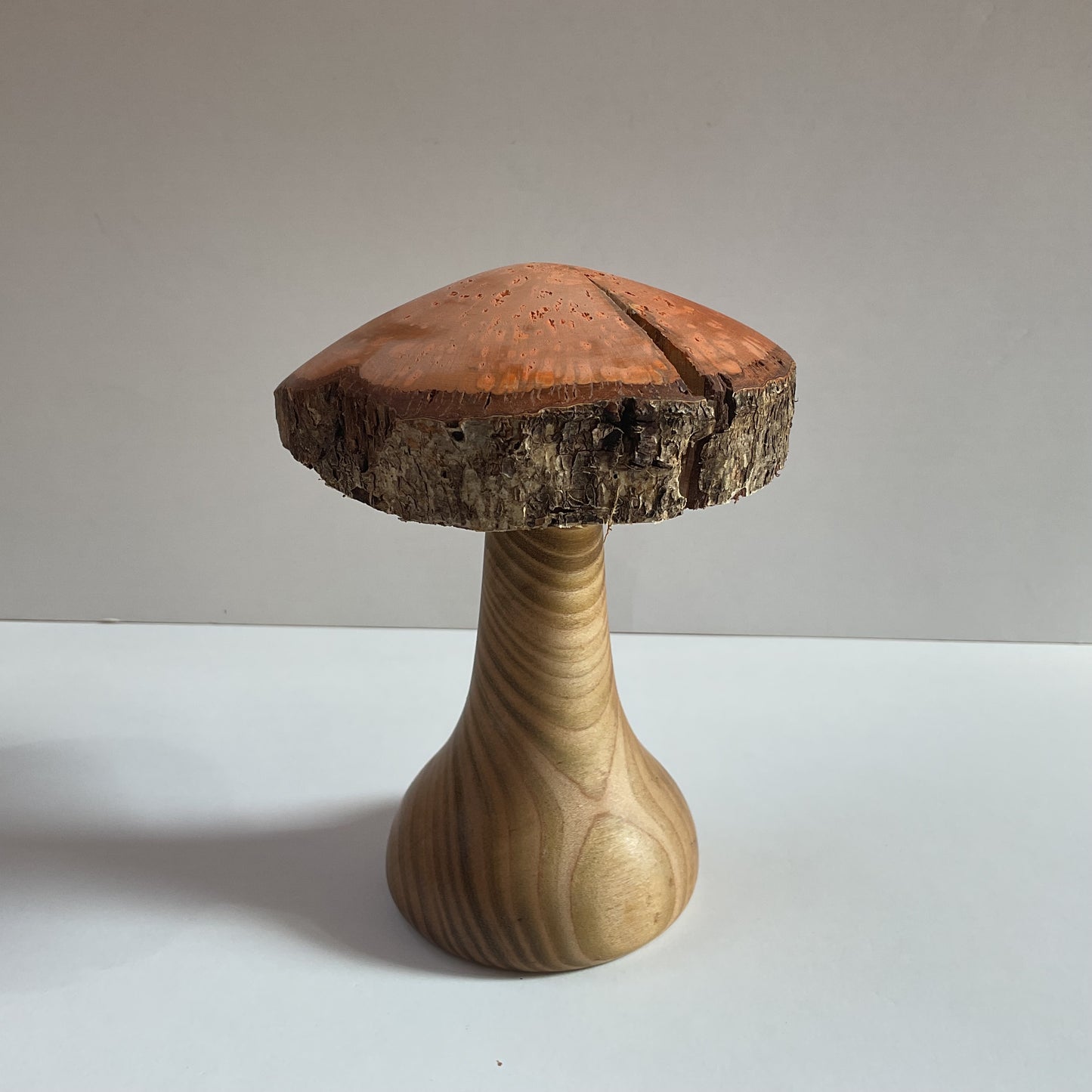 Large Mushroom