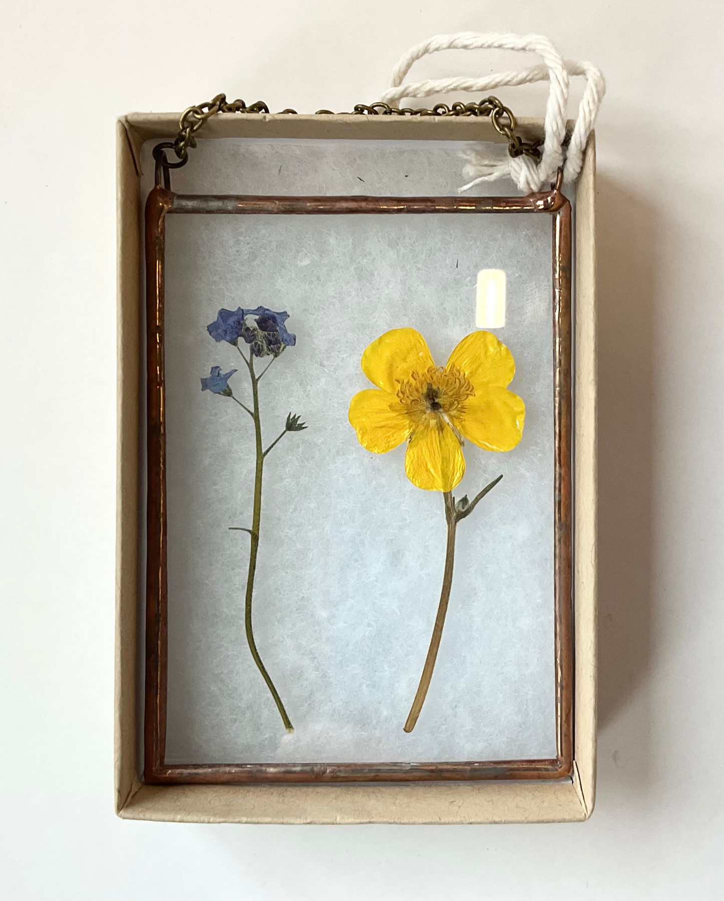 Petite Wallflowers Forget Me Not & Buttercup