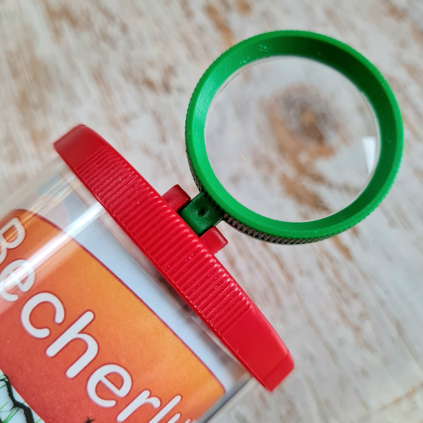 Magnifying Cup ‘Bug  Viewer’