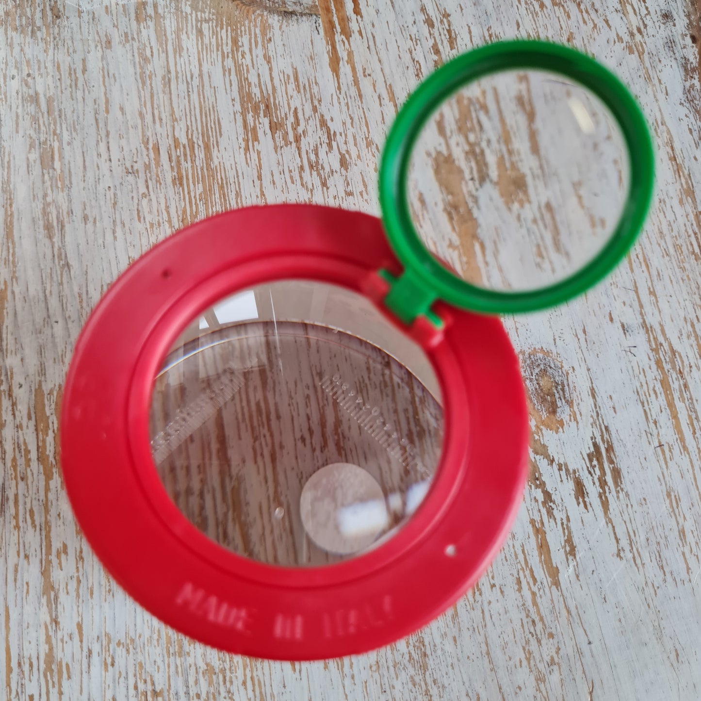 Magnifying Cup ‘Bug  Viewer’