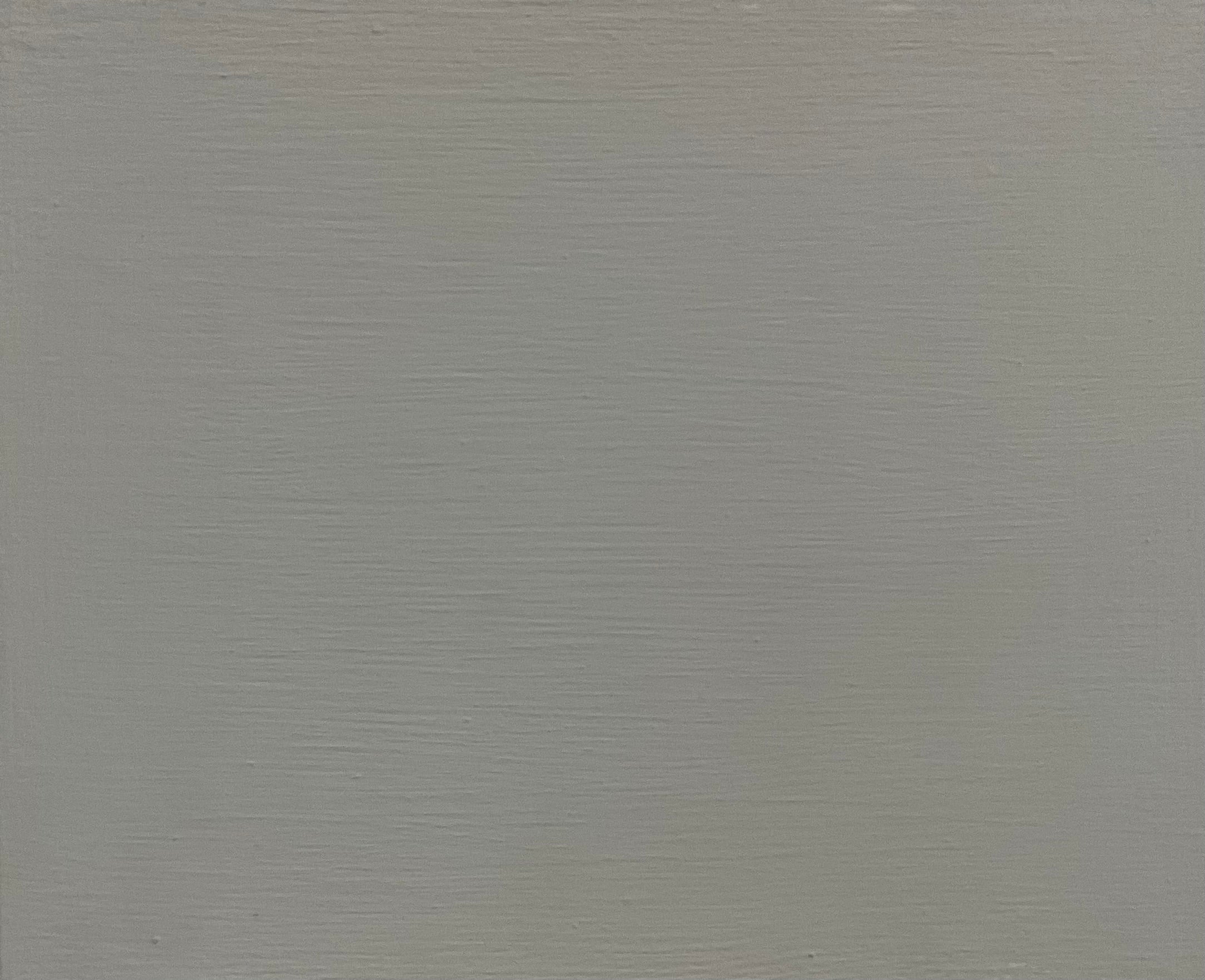 Medium Grey Interior Paint - 5.6 Litres