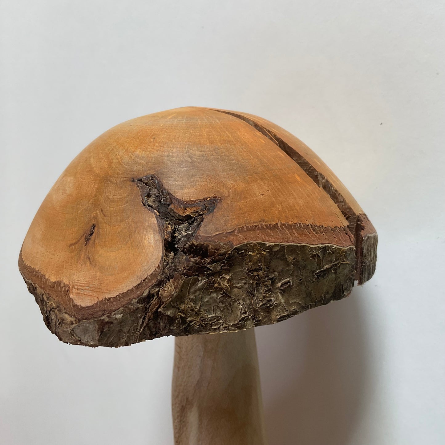 Large Mushroom