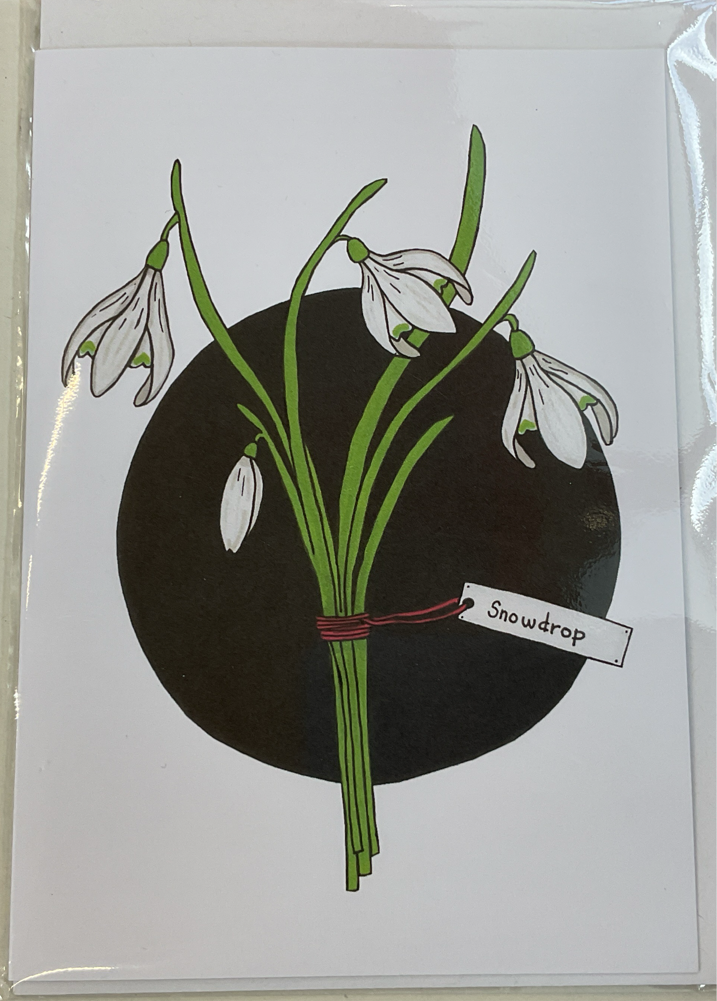 Sarah Cunningham Cards - Snowdrop