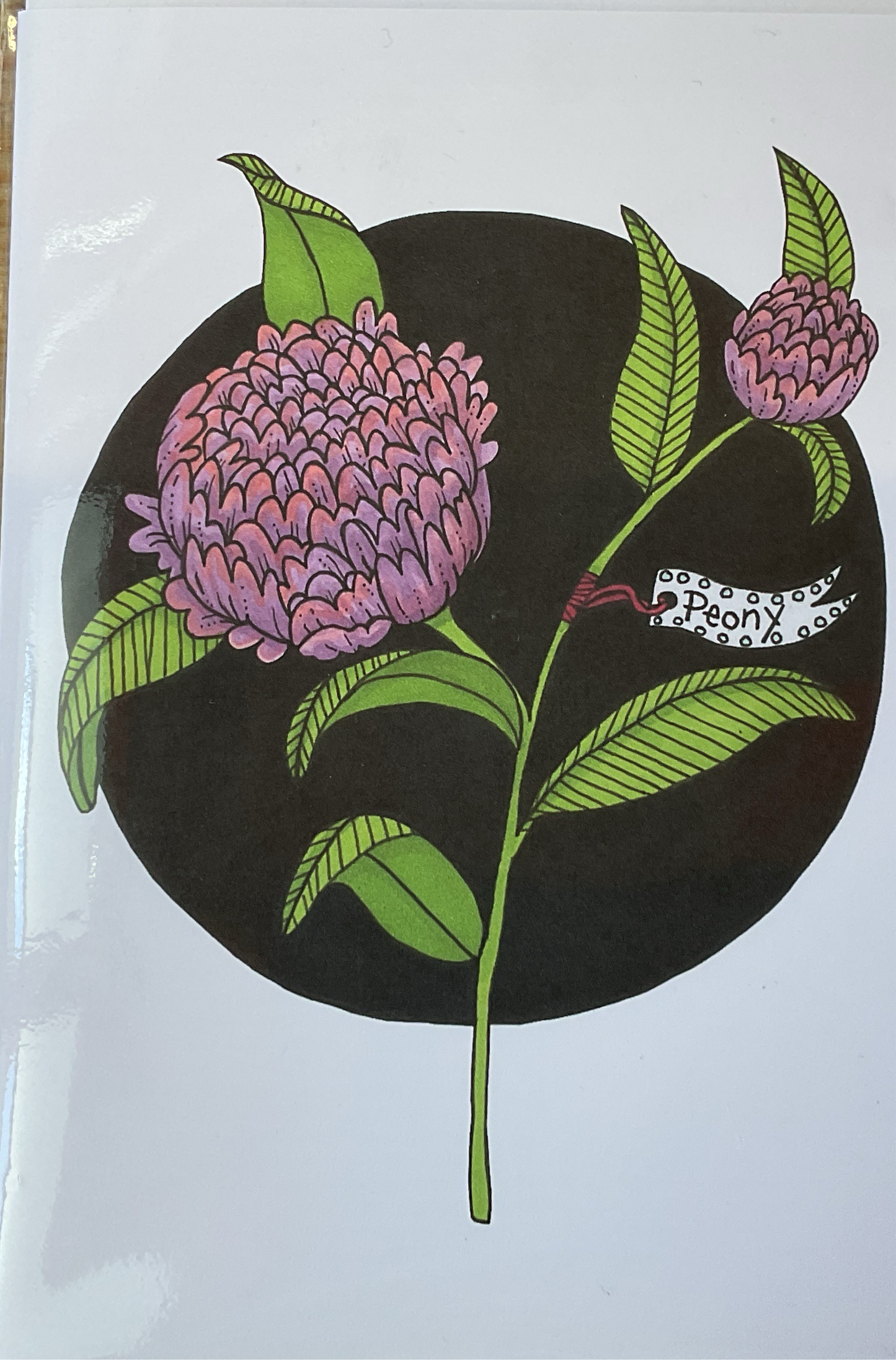 Sarah Cunningham Cards - Peony