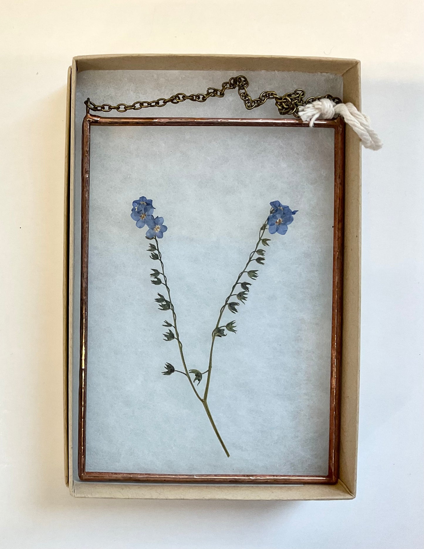Small Wallflowers Forget me not