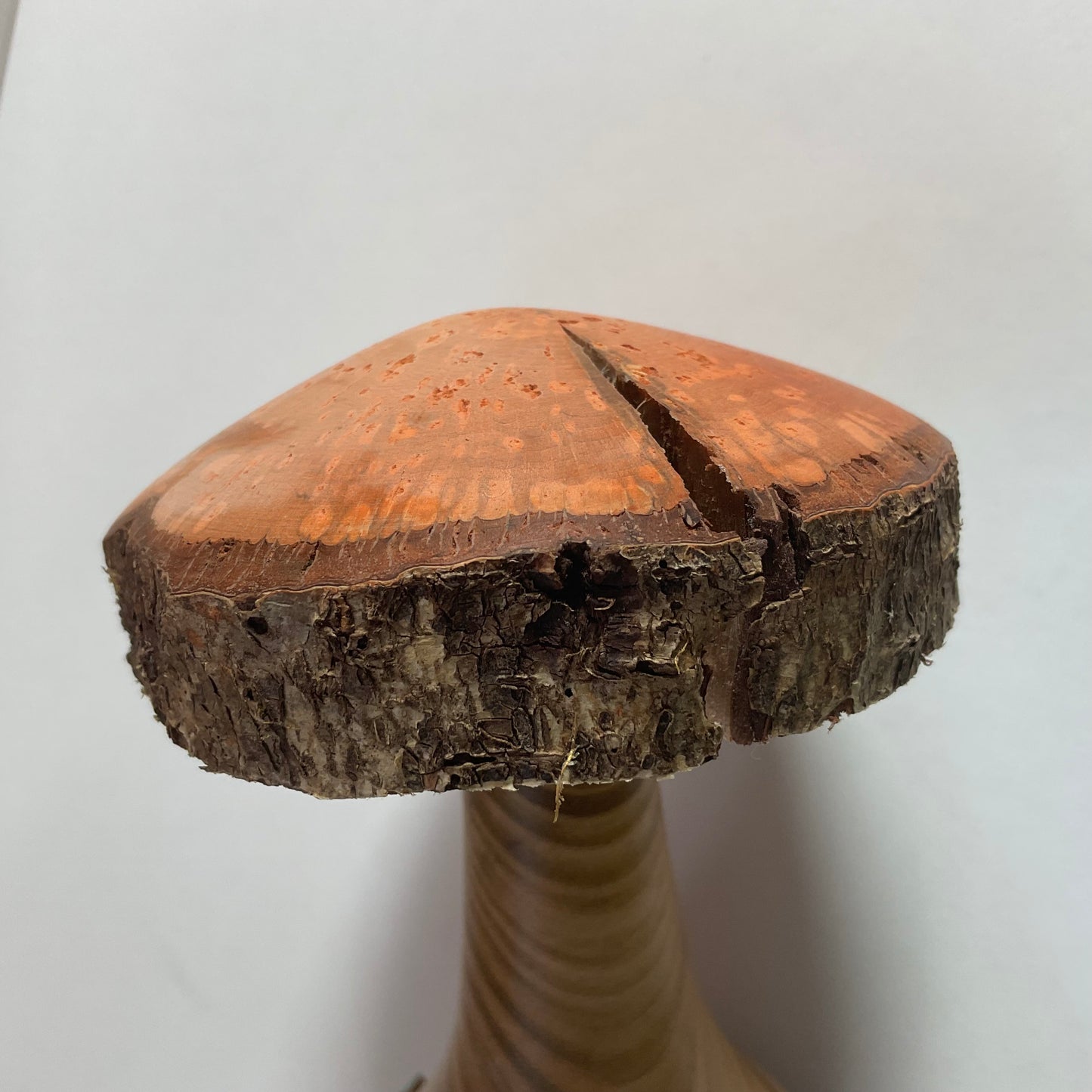 Large Mushroom