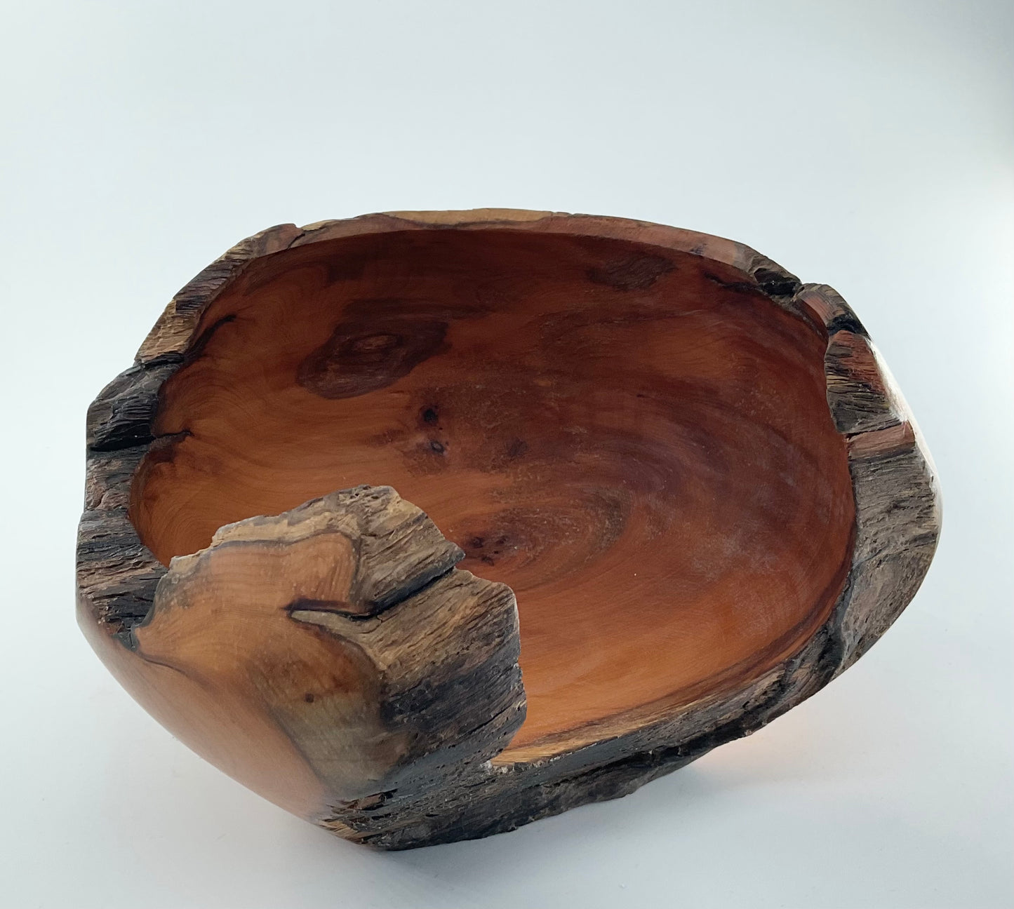 Yew tree bowl
