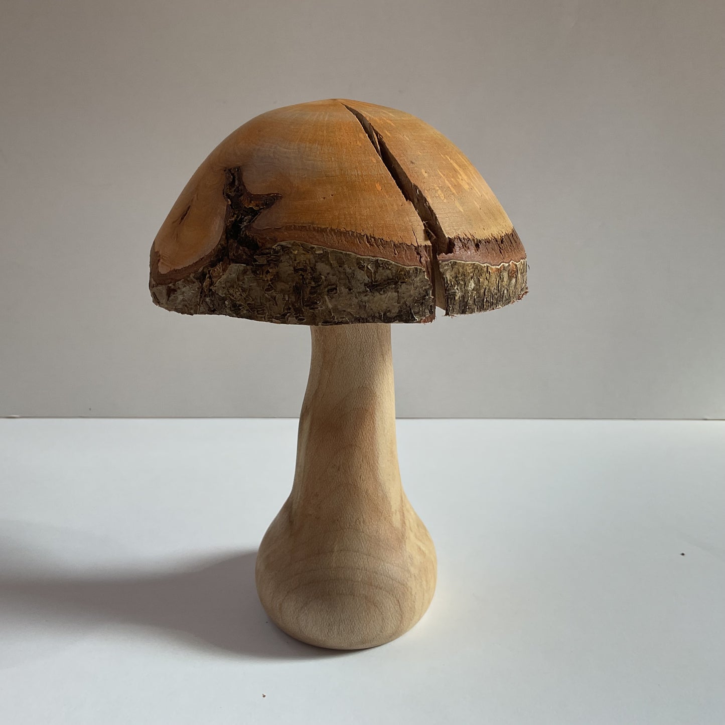 Large Mushroom