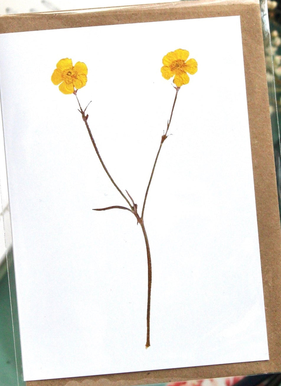 Buttercup Card