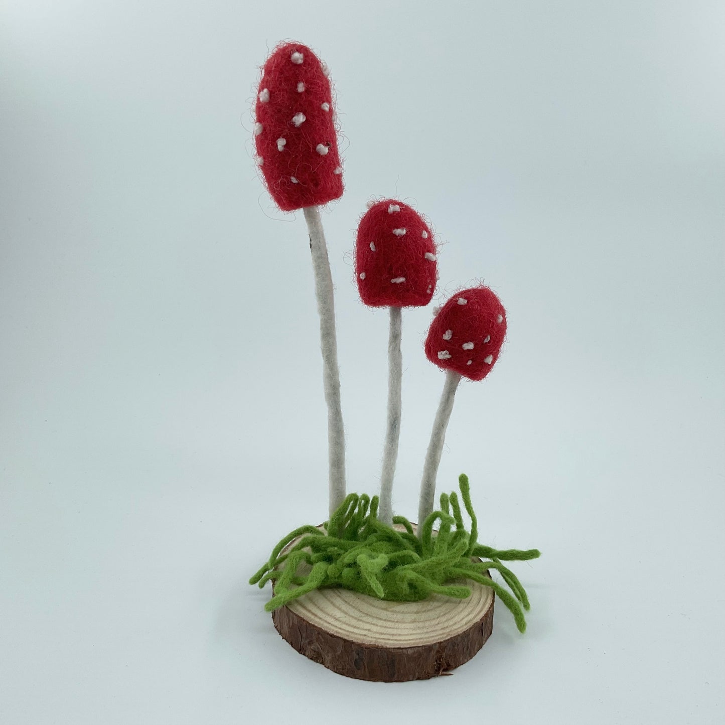 Three Sisters Mushroom