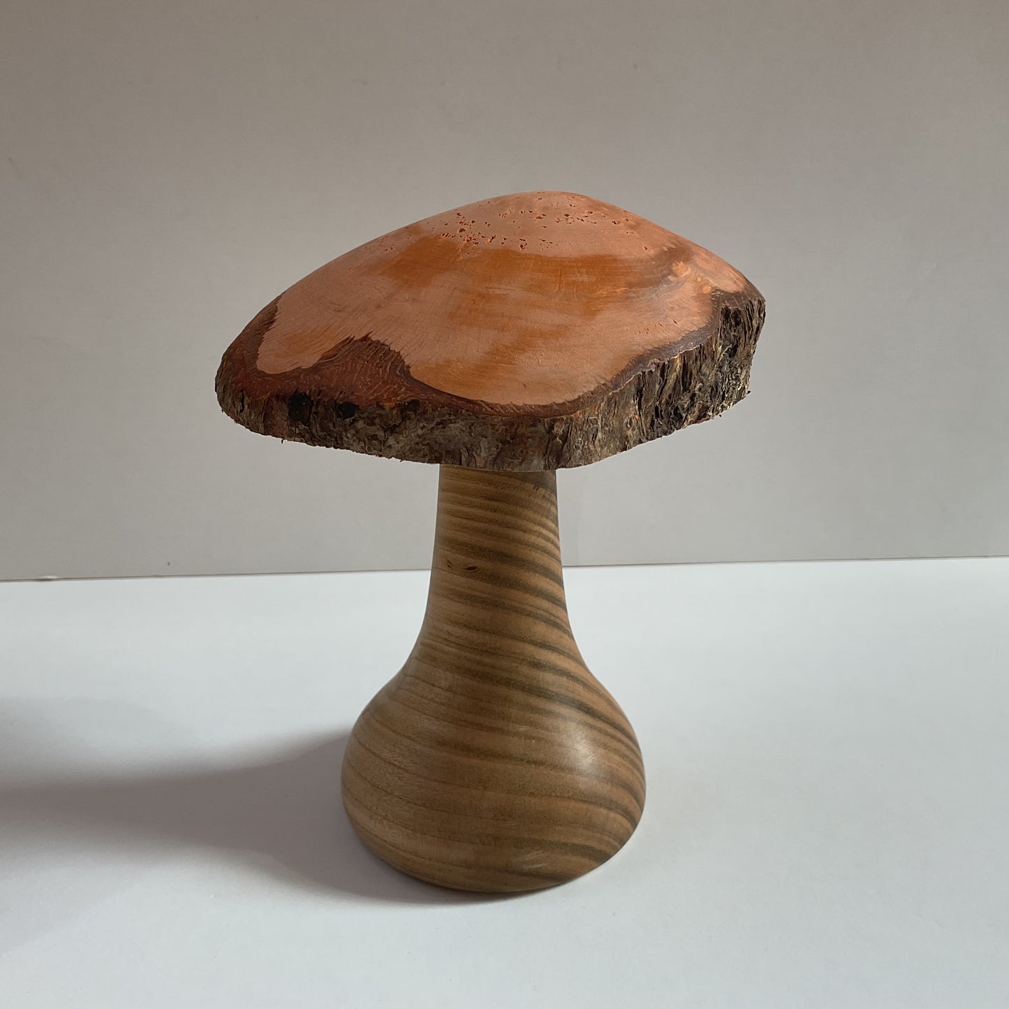 Large Mushroom
