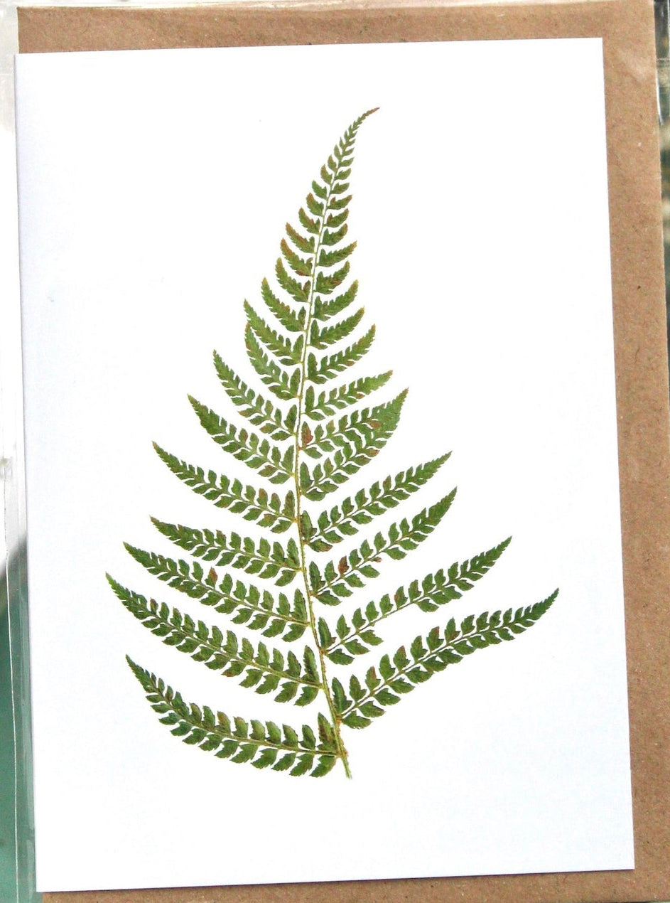 Fern Card