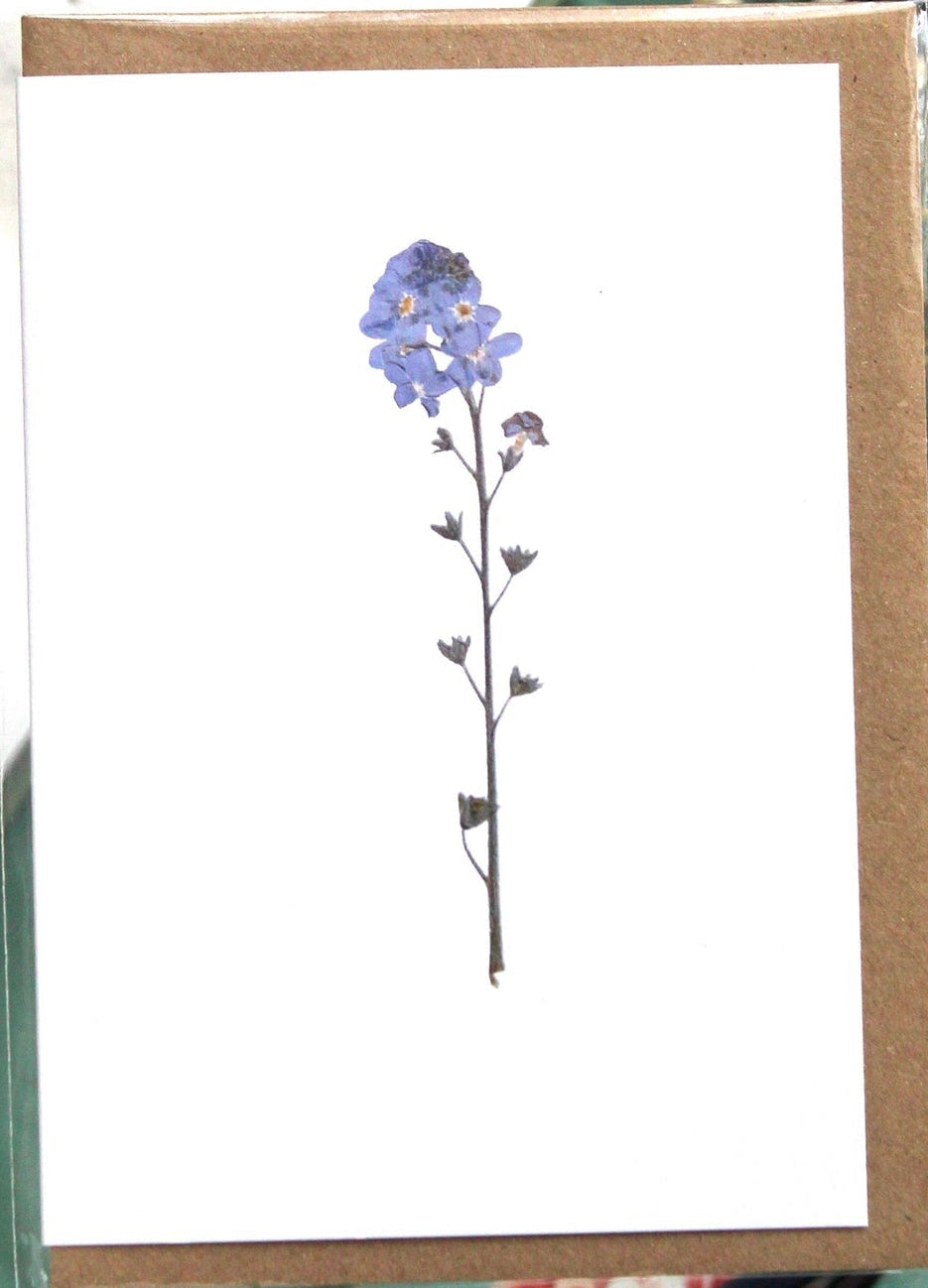 Forget Me Not Card