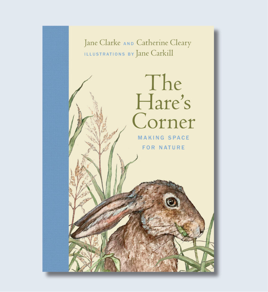 The Hare’s Corner