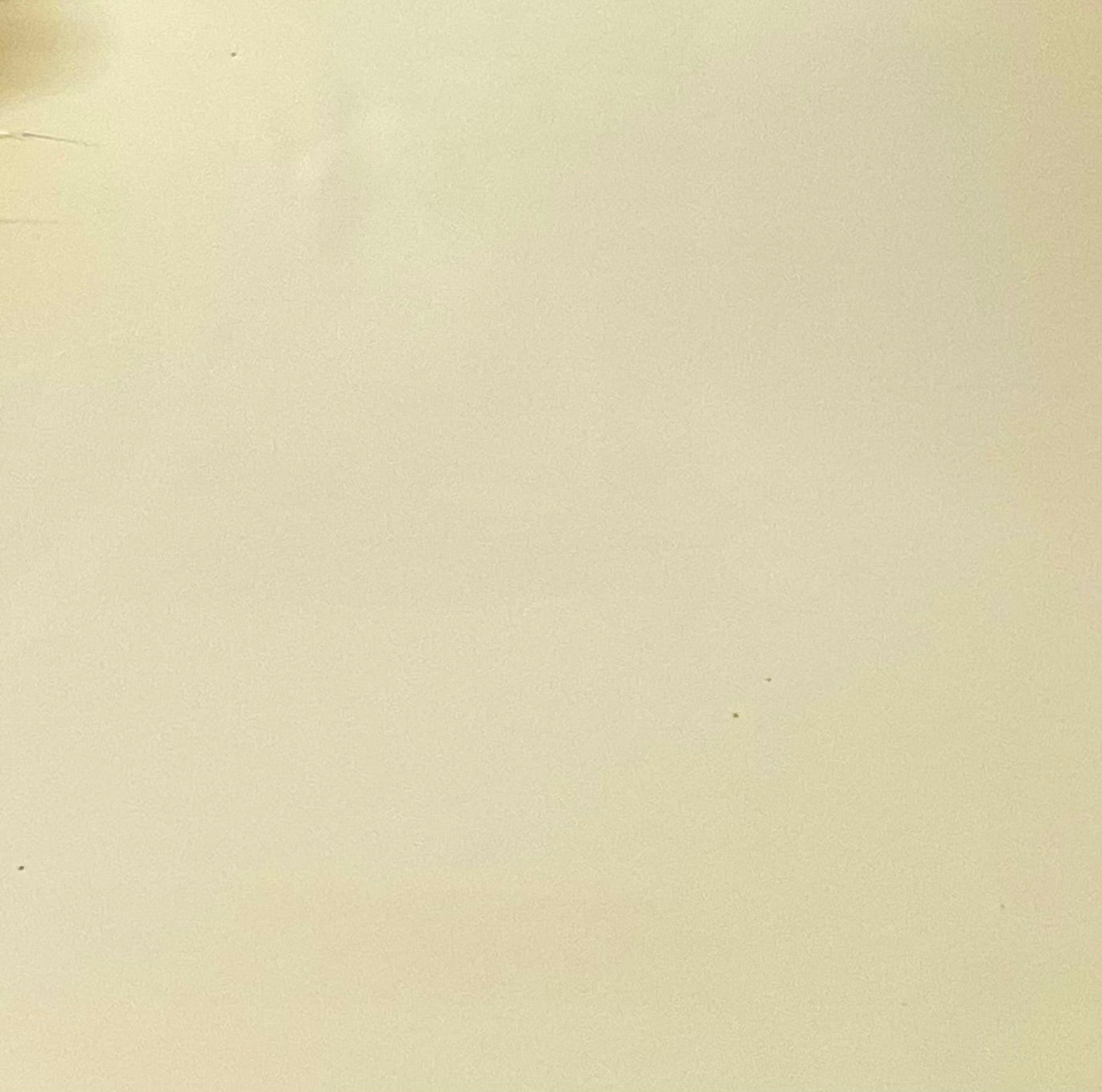 Cream Interior Paint - 5.6 Litres