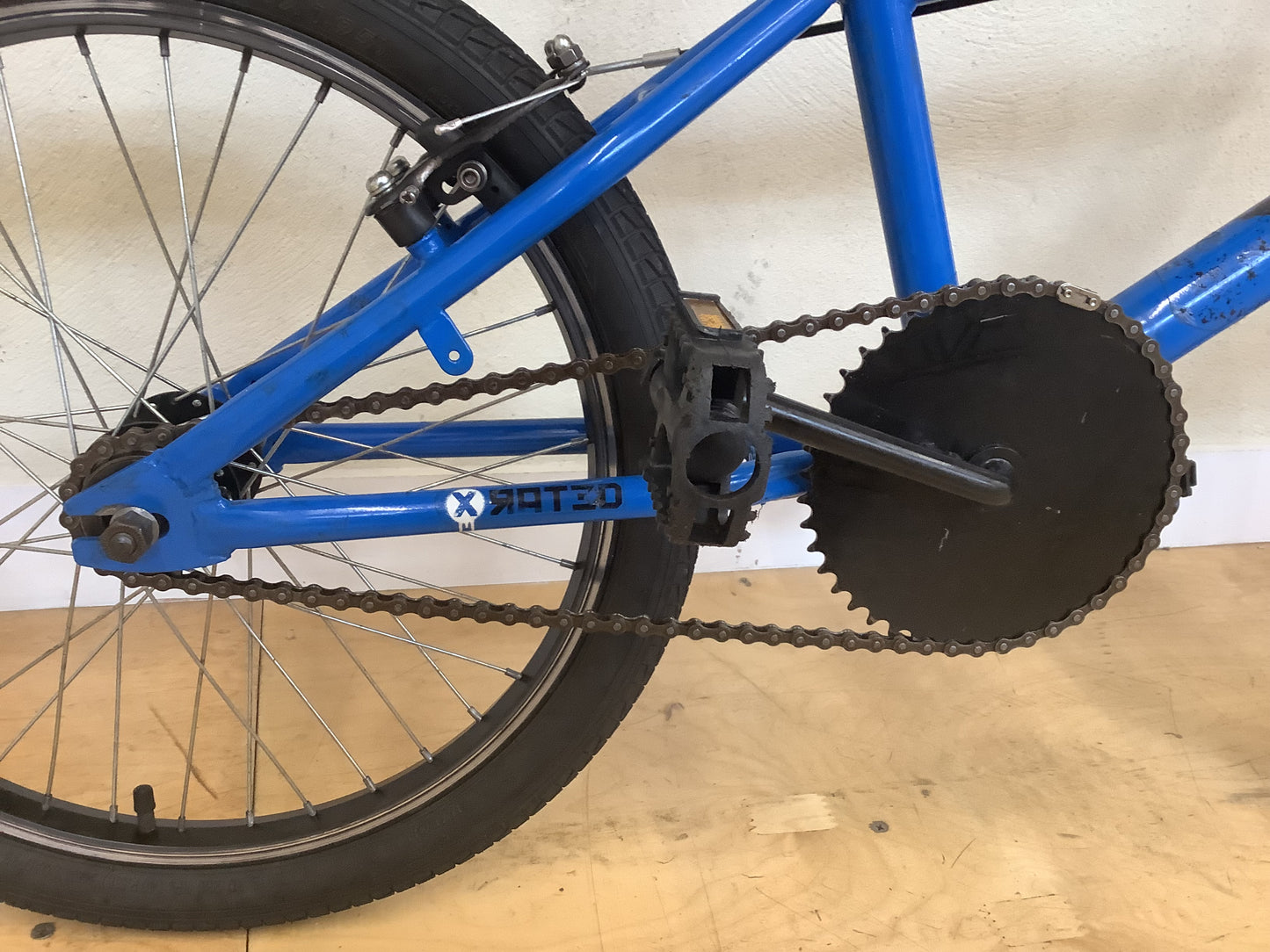 X-rated Quarter 20”