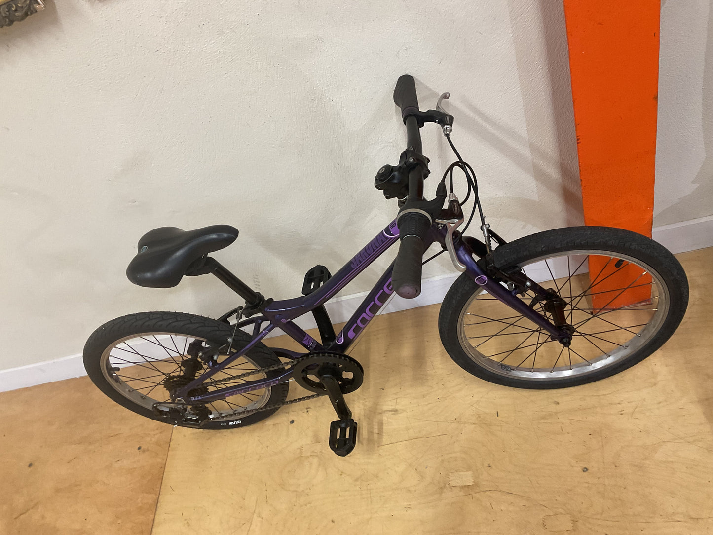 Carrera   Saruna Jnr