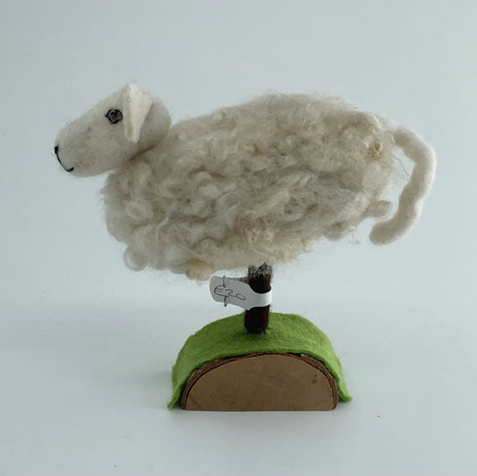 Three Sisters Sheep