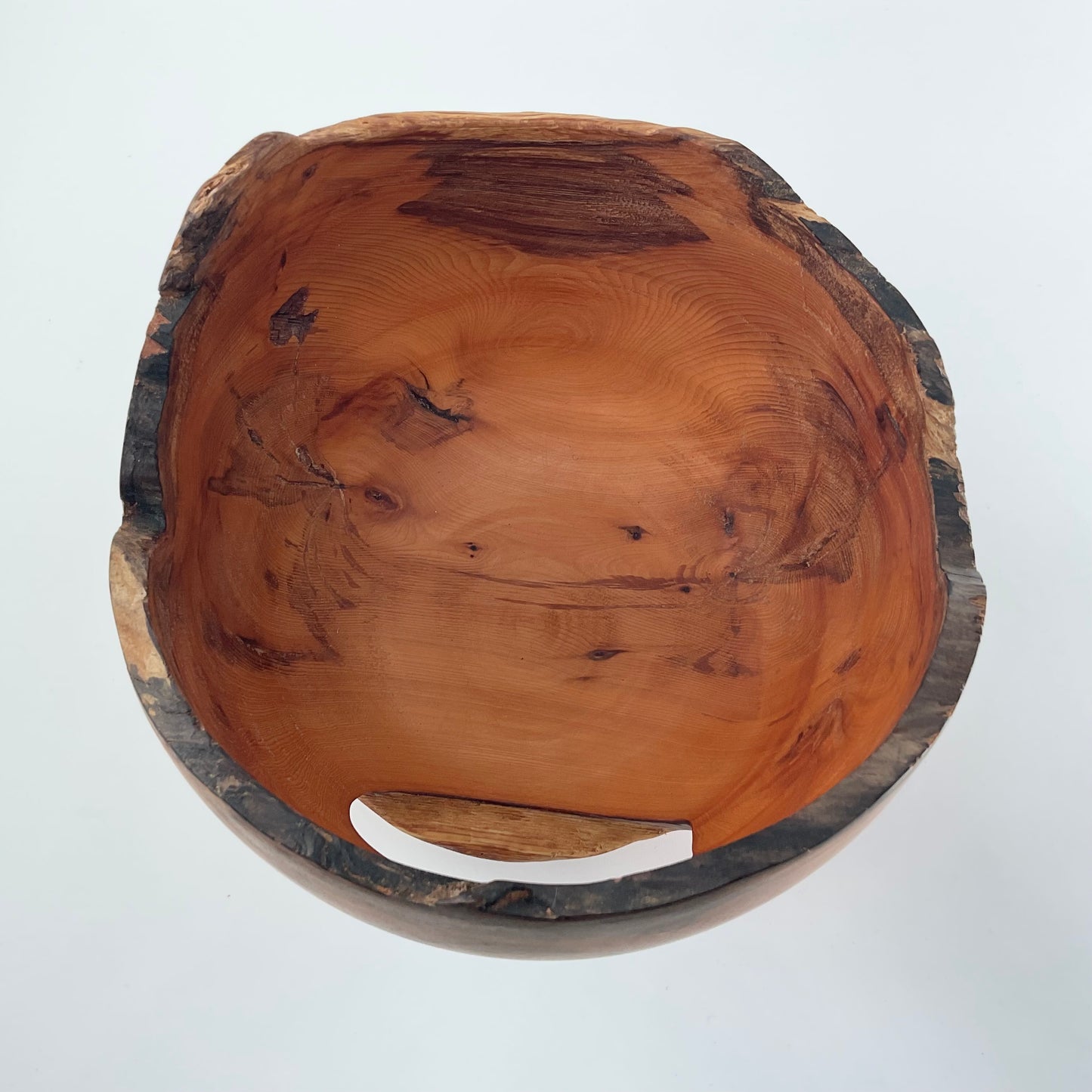Yew tree bowl