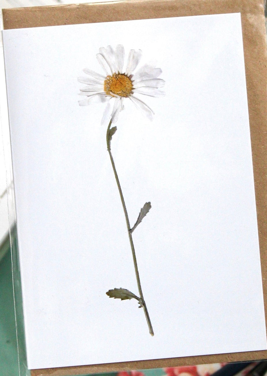 Daisy Card
