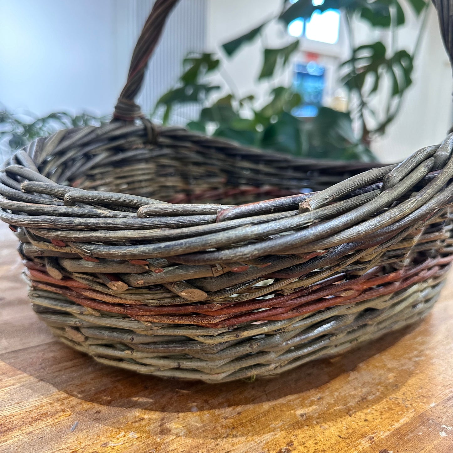 Island Willow Gathering Basket