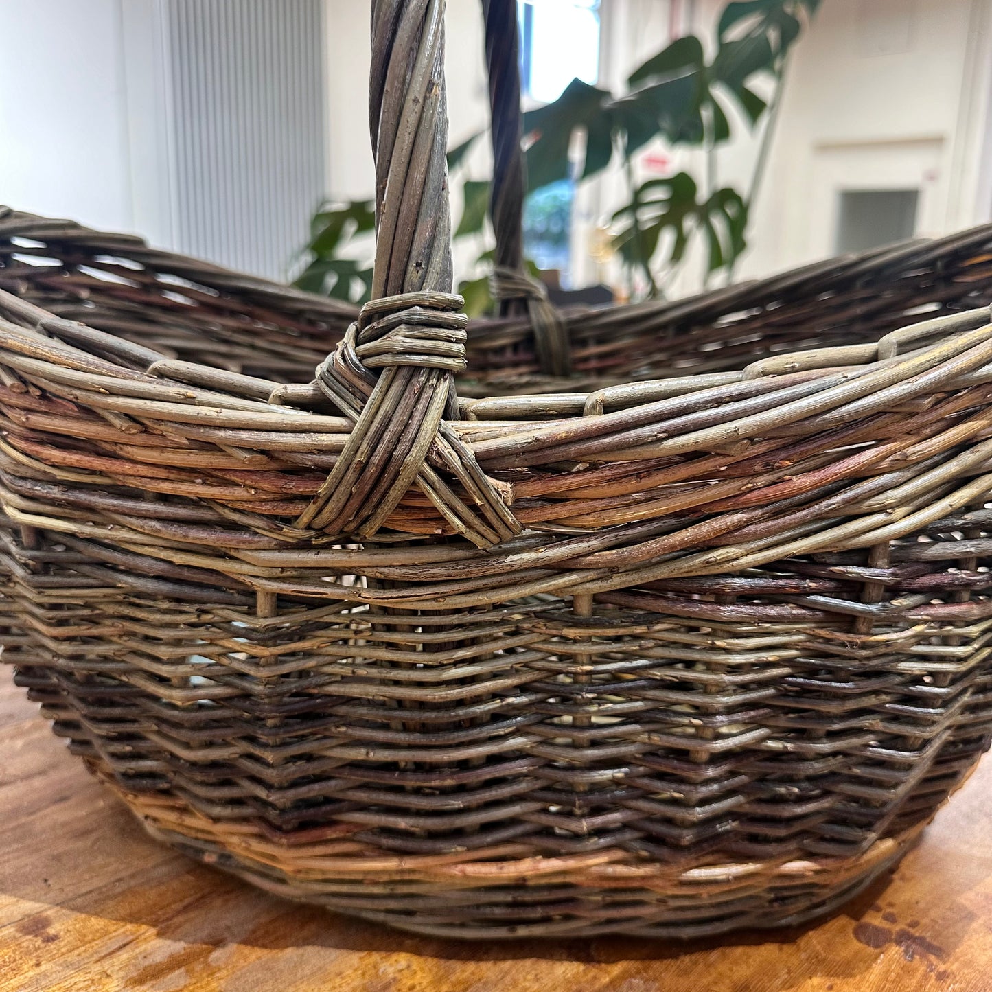 Island Willow Gathering Basket