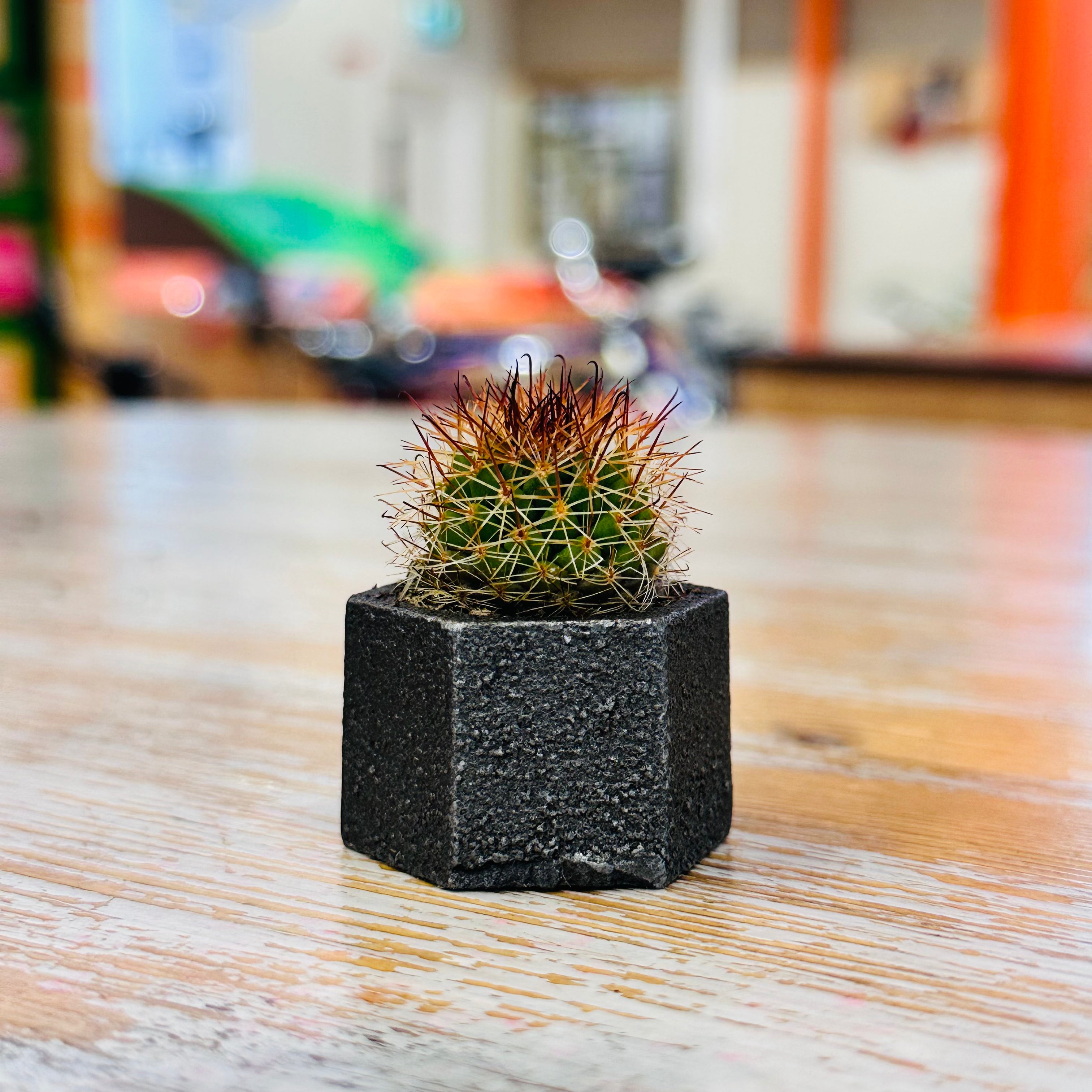 Kopper Kreation - Baby Iron Cactus Planter