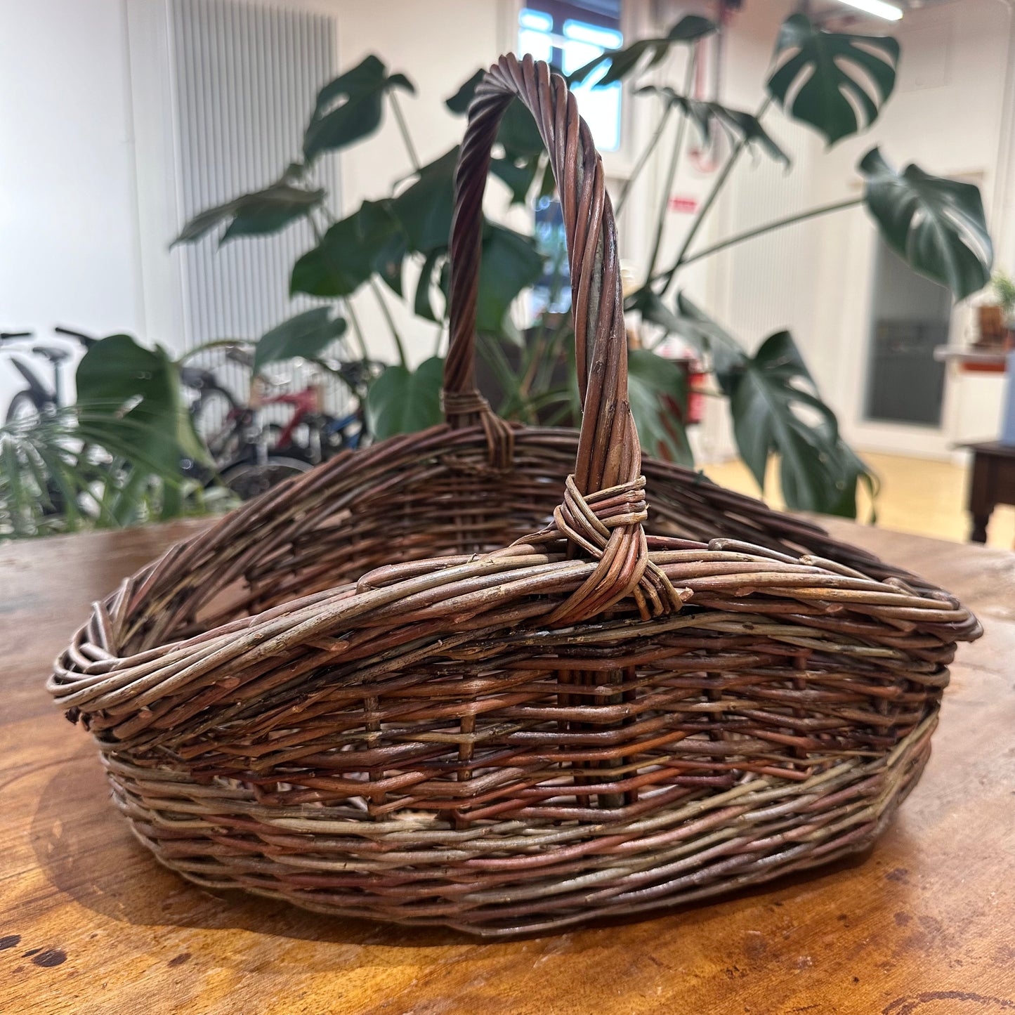 Island Willow Gathering Basket