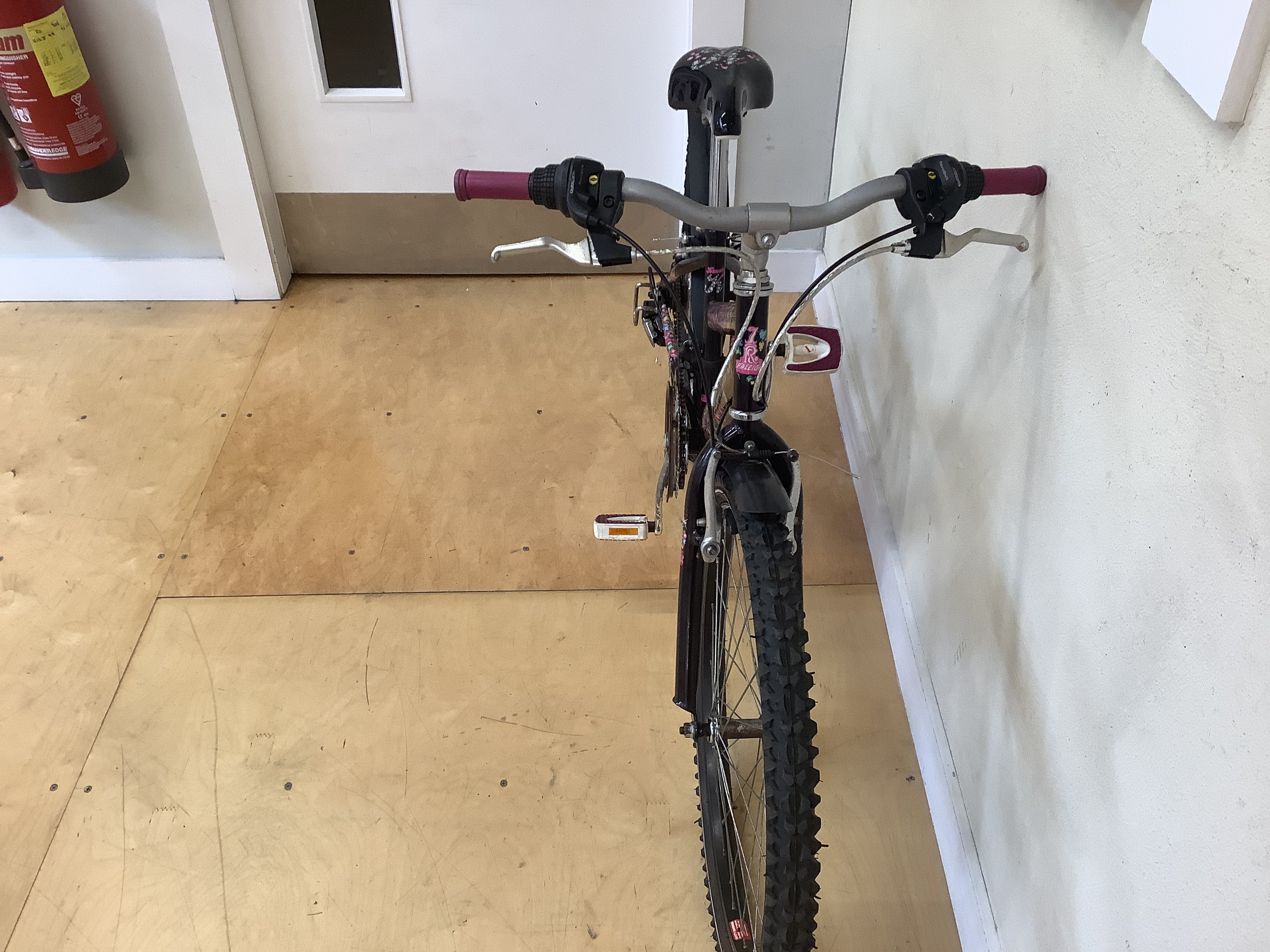 Raleigh Krush 12”