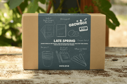 Giy - Late Spring Grow Box