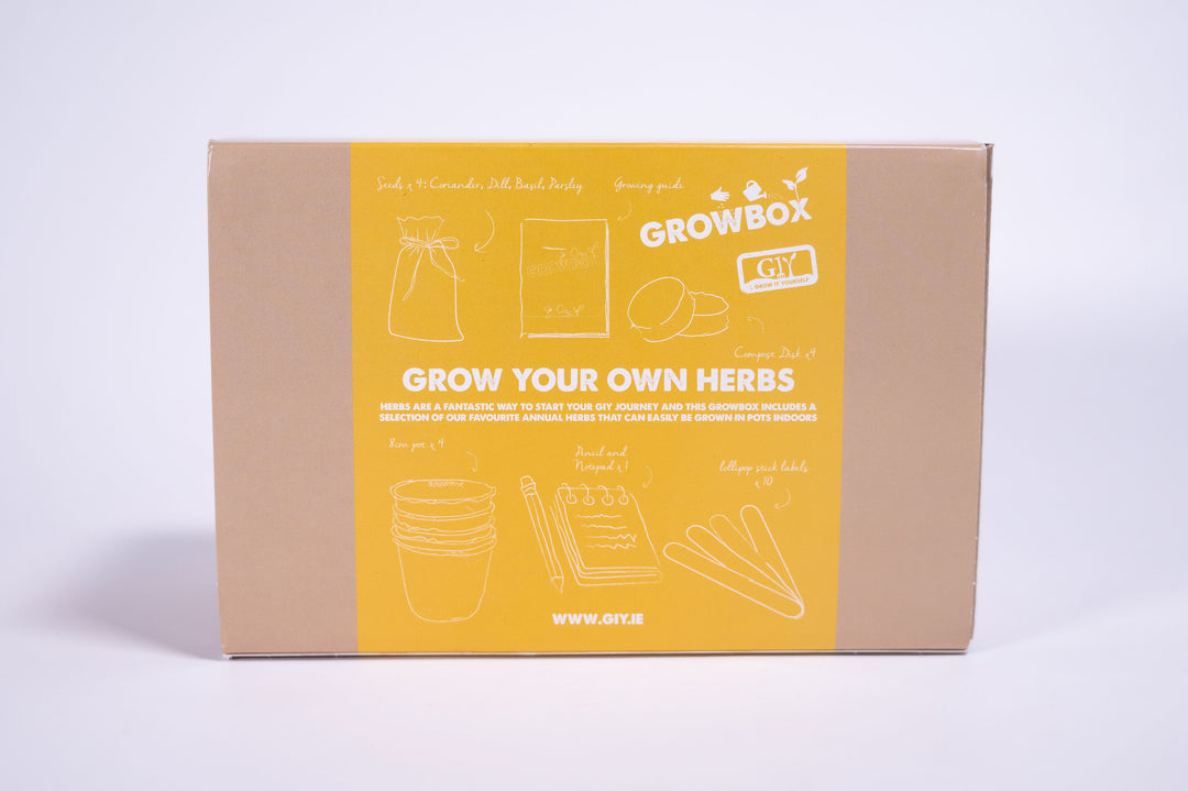 Giy - Grow Your Own Herbs Grow Box