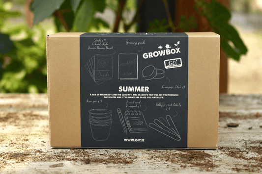 Giy - Summer Grow Box
