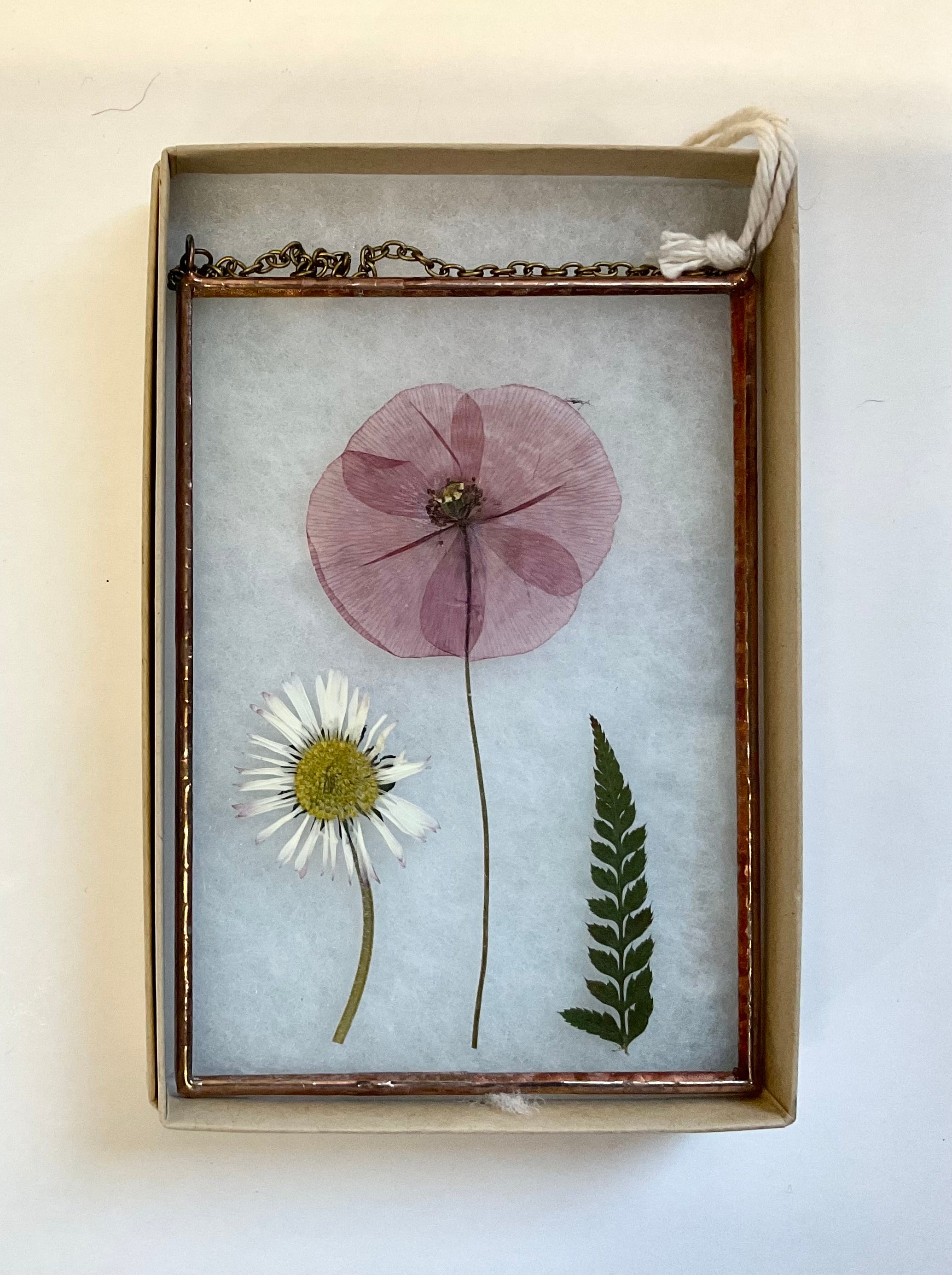 Pressed flower and leaf specimen in a wooden frame on a white background
