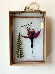 Pressed flower and fern in a glass frame on a white background