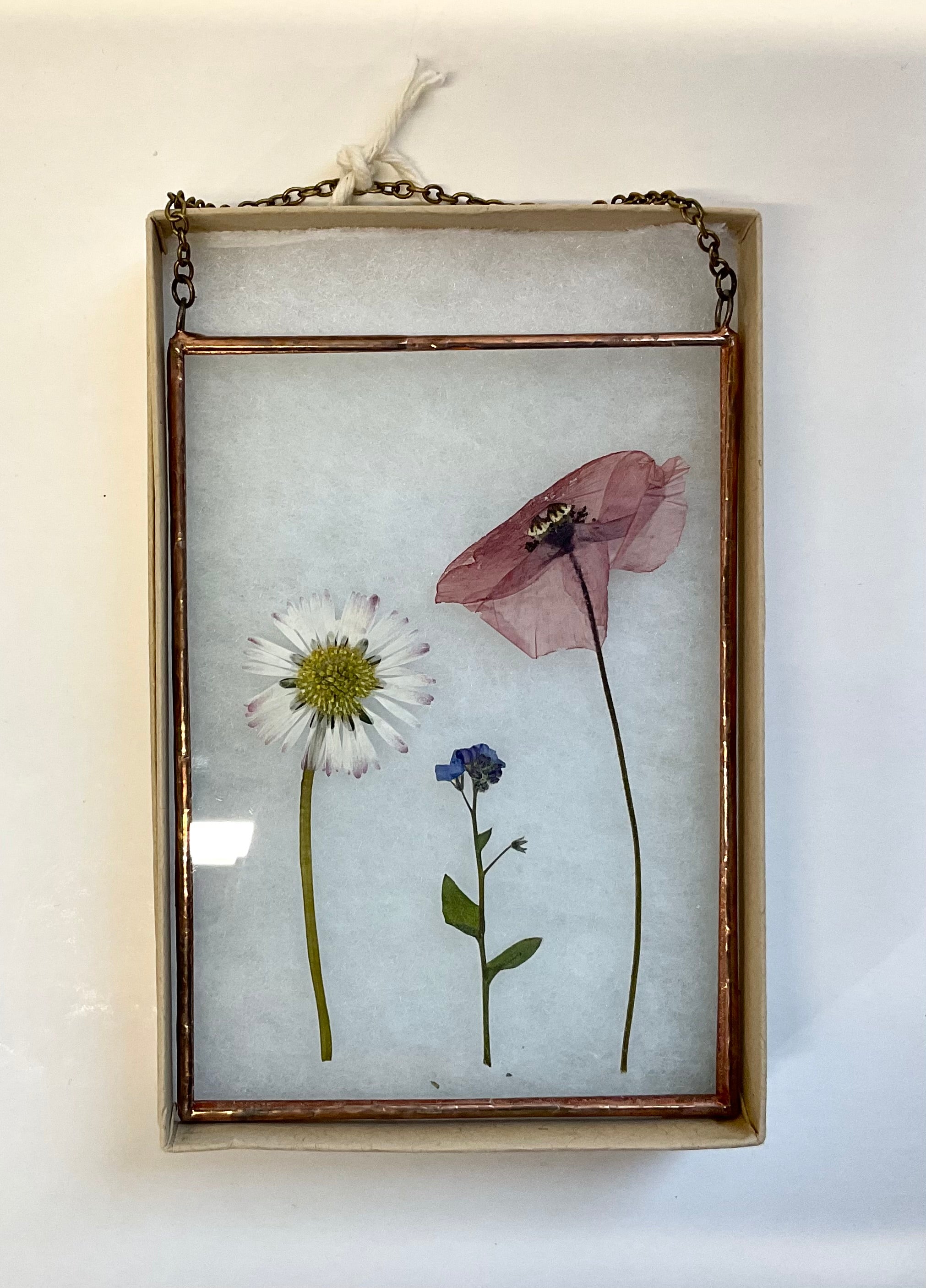 Pressed flowers in a glass frame on a white wall