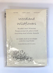 Packaging of Woodland Wildflowers seed bombs, showing the product name and a sketch of a bee and flowers, tied with a string.