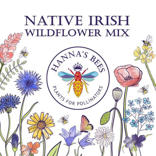 Hanna's Bees Native Irish Wildflower Seeds