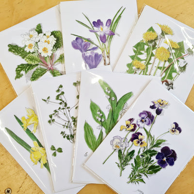 Jacinta Hughes Handdrawn Nature Cards