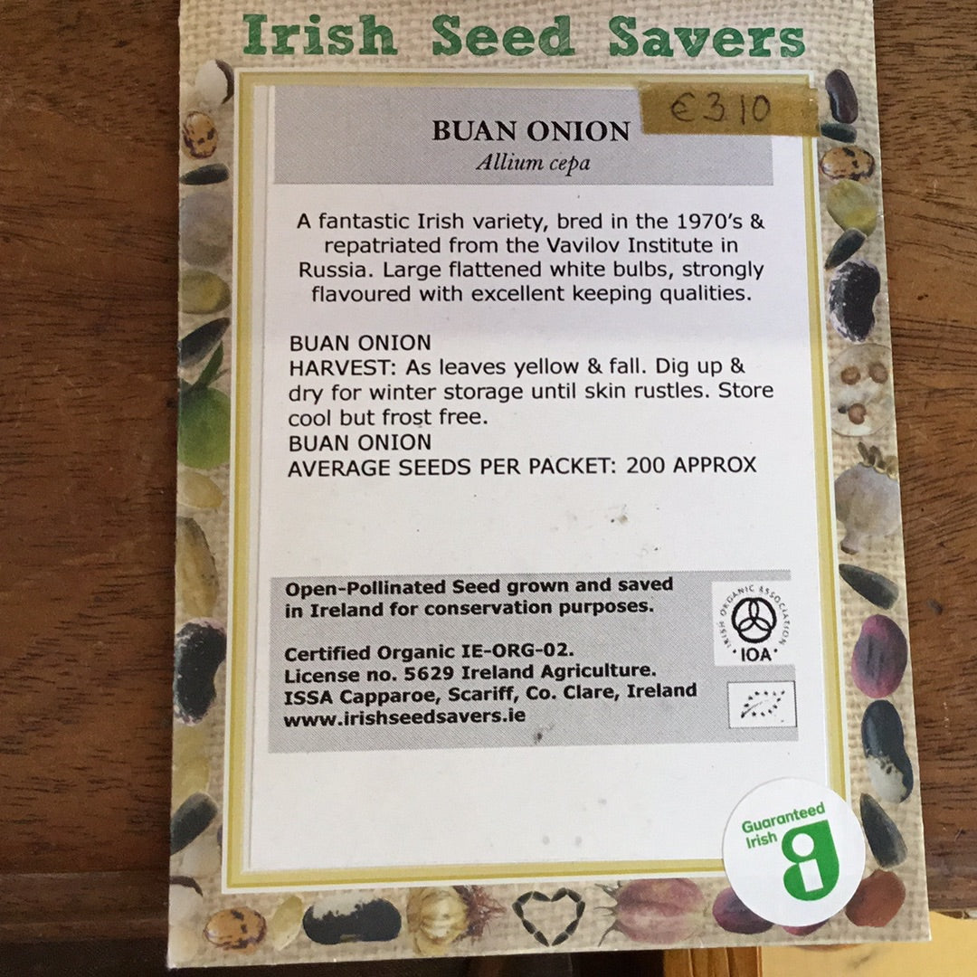 Irish Seed Savers Buan Onion